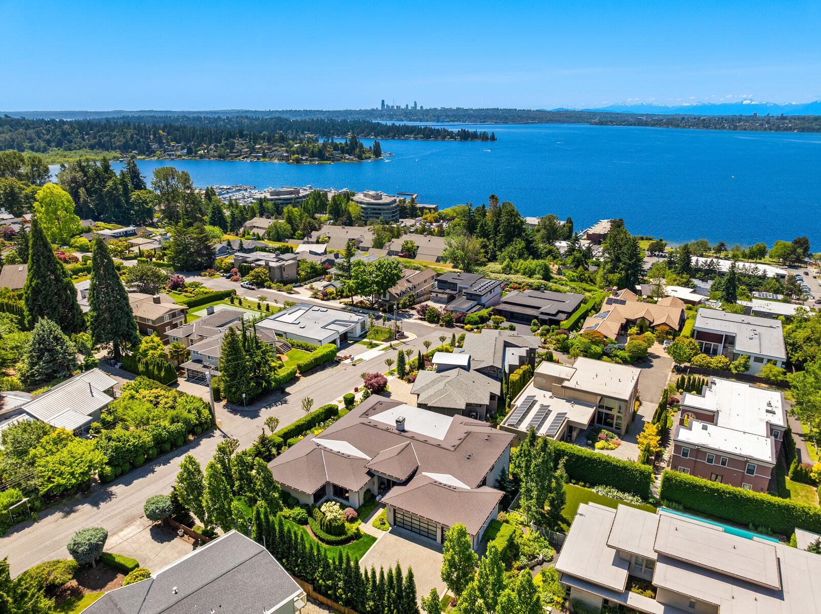 Aerial view with lake and skyline